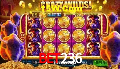 Benefícios VIP na bet236