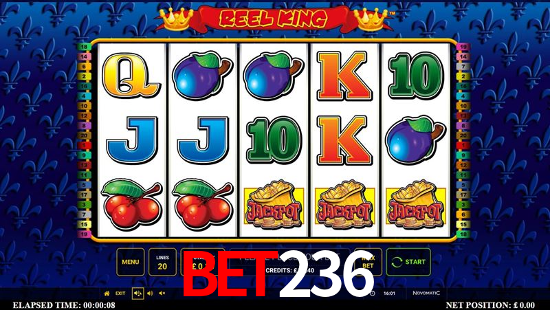 Sports Statistics bet236