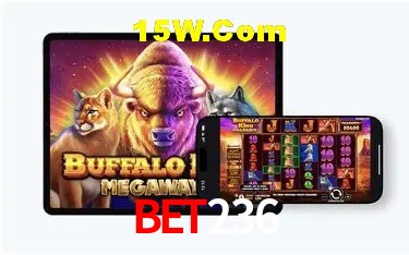 Recursos de Bônus bet236