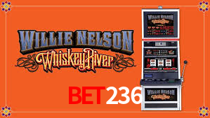 bet236