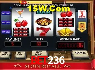 Experiência VIP bet236